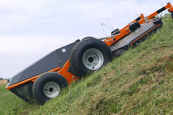 Raymo Electric Mower