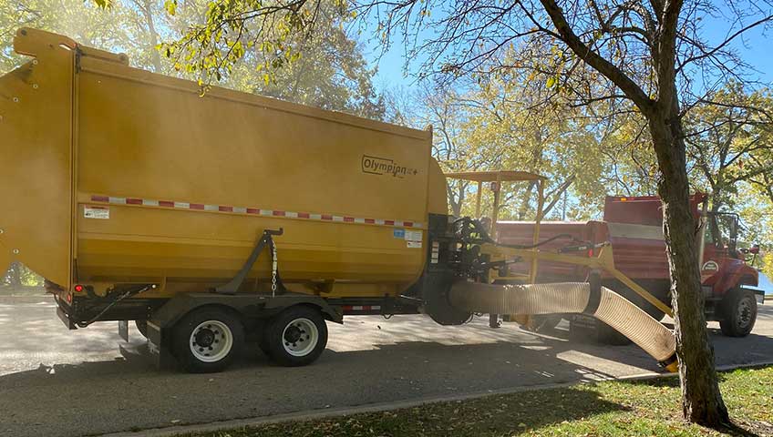 Olympian Leaf Pro Plus